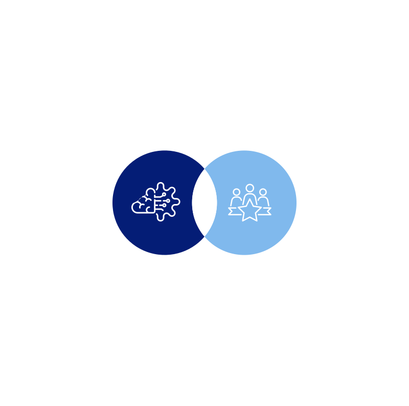AI for risk and policy assessment